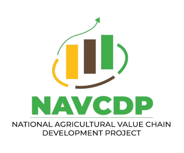 NAVCDP Logo